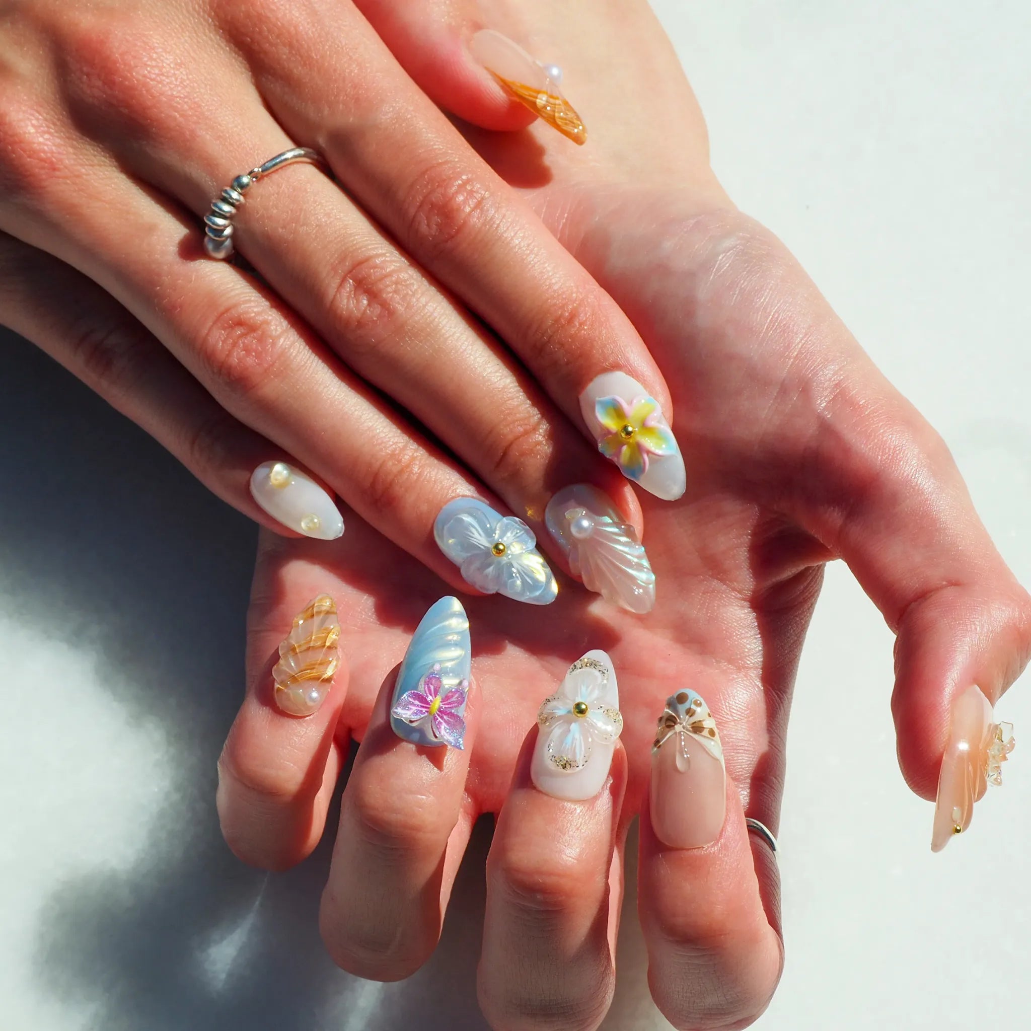 Beach Shell