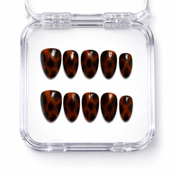 Tortoise Shell